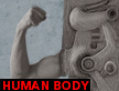 human body video thumbnail